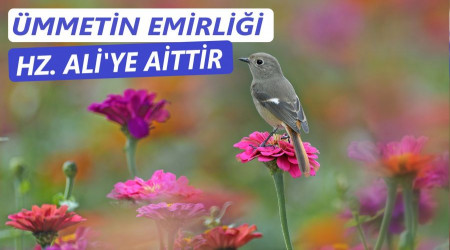 Ümmetin emirliği Hz. Ali’ye aittir