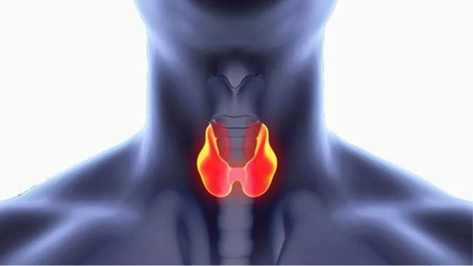 Uzmanı uyardı: "Zehirli guatr belirtileri ihmal edilmemeli"