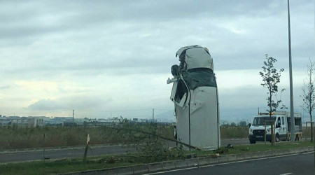 Yağmurda şaha kalktı