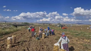 Yandaa kar garantisi verenler iftiye alm garantisi vermiyor