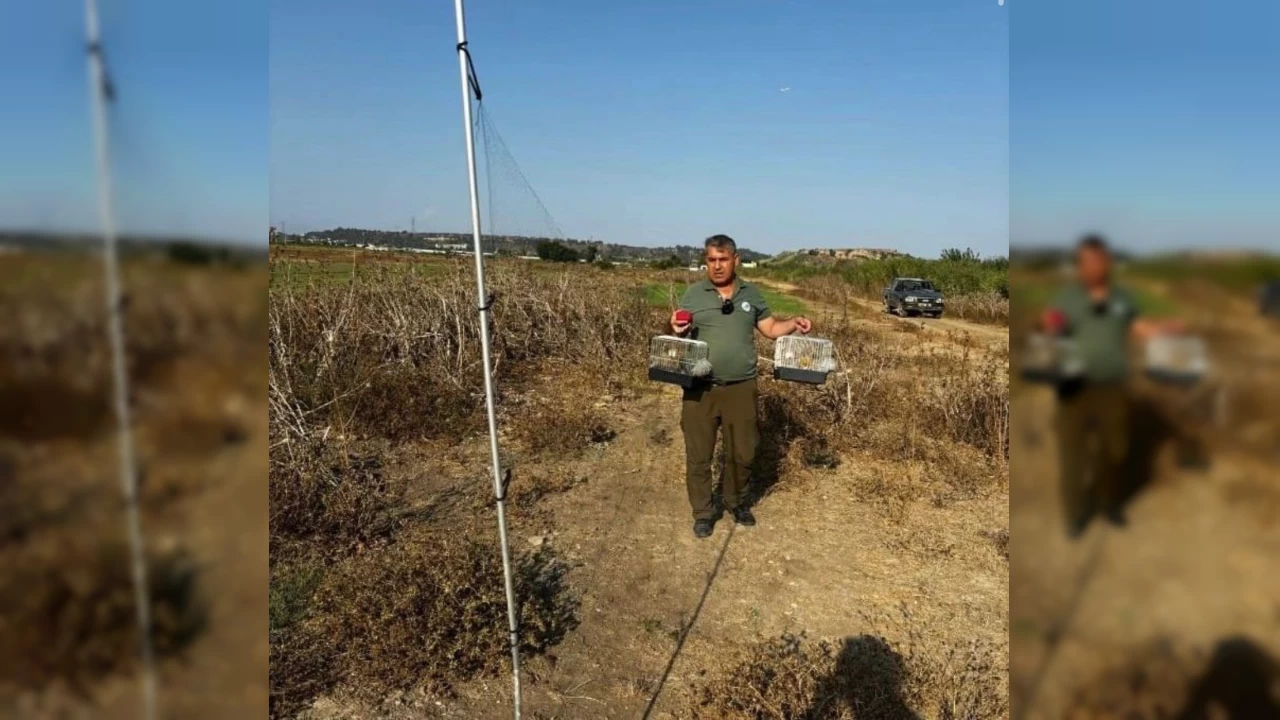 8 saka kuşunu izinsiz yakalayan kaçak avcıya 45 bin lira tazminat cezası