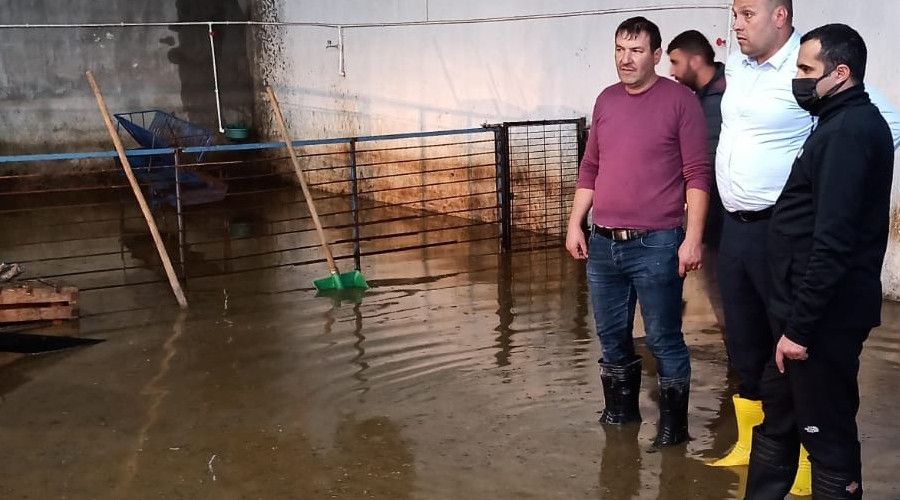 Afyonkarahisar'da 20 ev ve 10 ahırı sel bastı