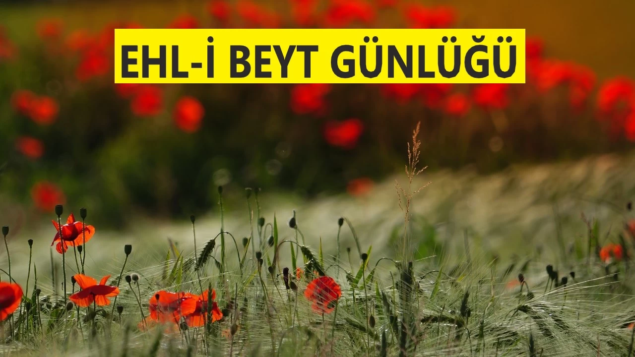 ‘Allah günahların çoğunu affeder’