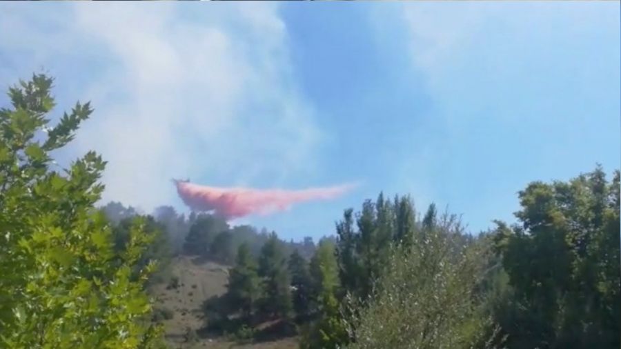 Antalya'da çıkan orman yangını kısmen kontrol altına alındı