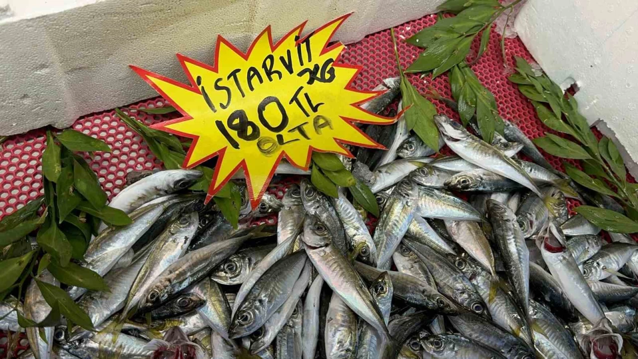 Avlanma yasağı olsa da tezgahlar balık çeşitleriyle dolu