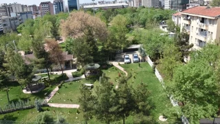 Batman Atatürk Parkı: Kentin sosyo-kültürel dönüşümünün tanığı