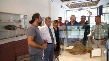 Bölgenin ilk deniz canlıları müzesi Mersin'de açılıyor