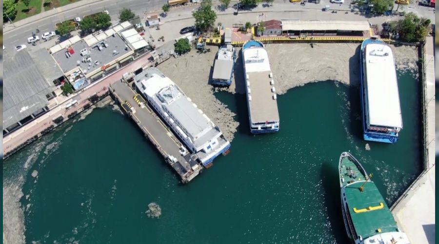 Bostancı'da müsilaj temizliği devam ediyor