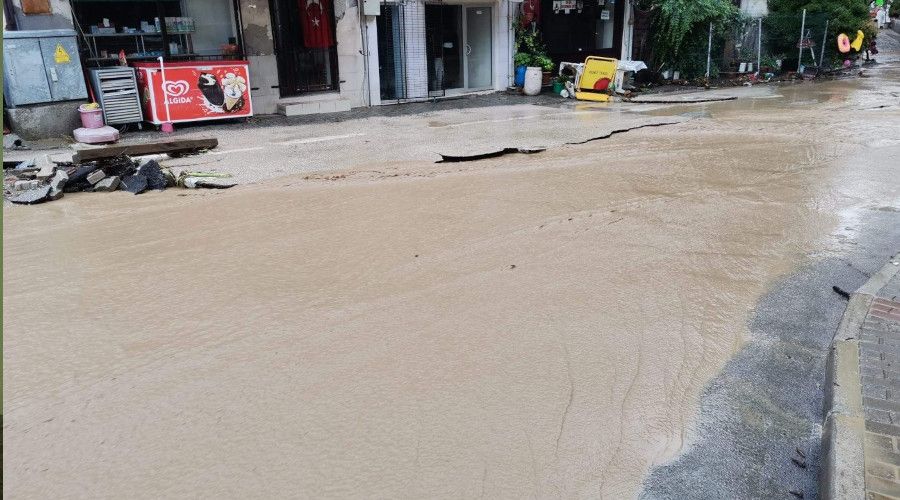 Bursa'nın Gemlik ve Mudanya ilçesi sele teslim