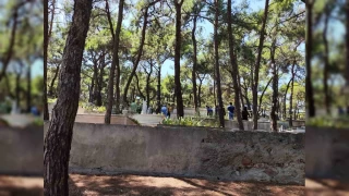 Büyükada'da ceset bulundu