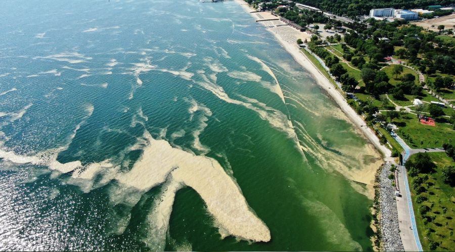 Deniz salyası bu kez Bakırköy kıyılarını sardı