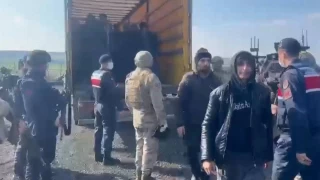 Diyarbakır'da tırda 72 kaçak göçmen yakalandı