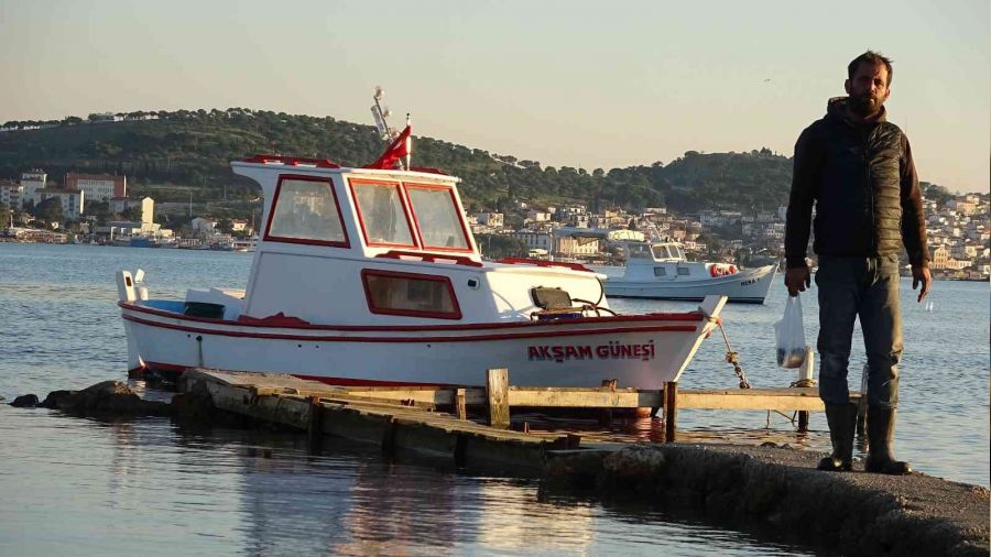 Edremit Körfezi'nde köpek balığı paniği