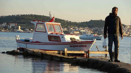 Edremit Körfezi'nde köpek balığı paniği