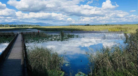 Efteni Gölü, doğaseverleri mest ediyor