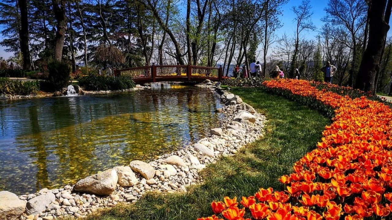 Emirgan Korusu: stanbul'un yeil cenneti