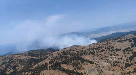 Eskişehir'de orman yangını