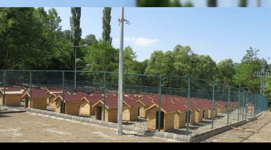 Geçici Hayvan Bakım Evi sokak hayvanlarına umut olacak