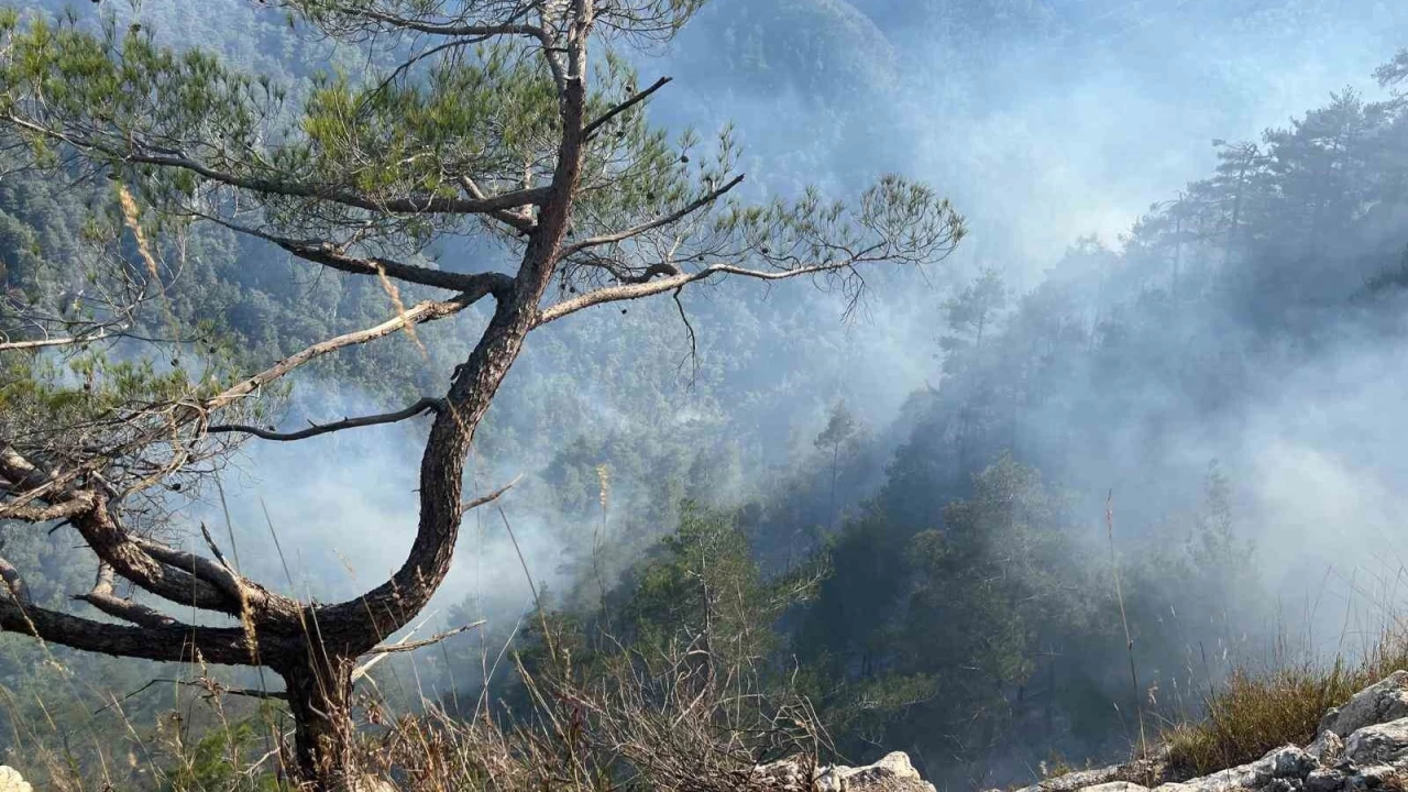 Hatay'daki orman yangınında 23. saat geride kaldı