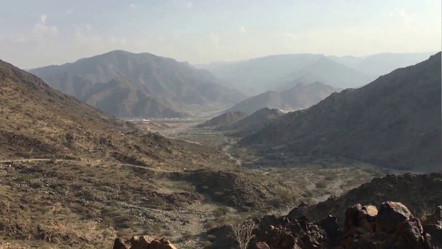 Huneyn Savaşı’nda Hz. Ali