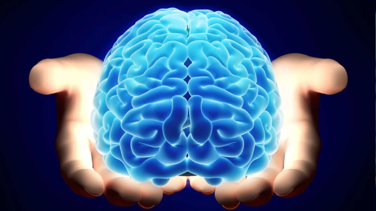 İnsan beyninin atıkları nasıl temizlediği anlaşıldı?