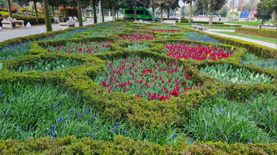 stanbul'da lale leni balyor