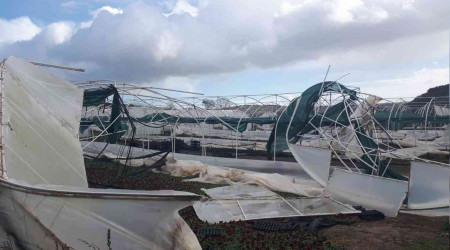 İstanbul'da lodos seraları vurdu