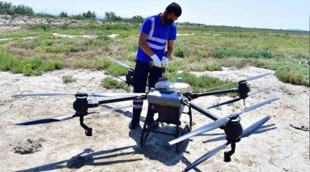 İzmir'de sivrisinek ile dronlu mücadele