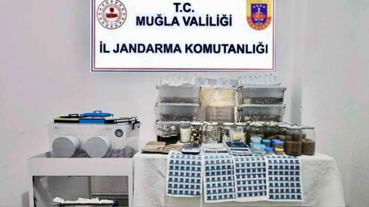 Jandarma 22 kilo uyuturucu ele geirildi