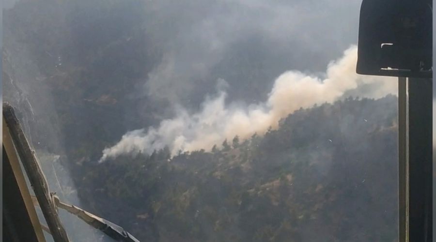 Kahramanmaraş'ta orman yangını