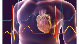 Kalp Kası Bandı Hastalığı (Myocardial Bridge): Belirtileri ve tedavi yöntemleri