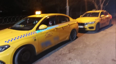 Kırklareli'nde 10 kaçak göçmen yakalandı