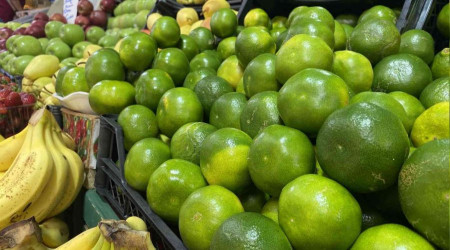 Mandalina tezgaha düştü