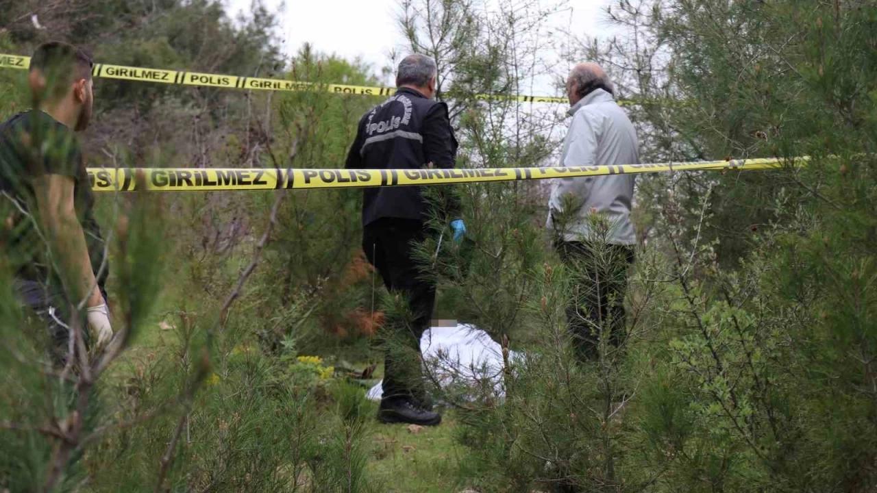 Mantar aramaya çıktı, güvenlikçinin cesedini buldu