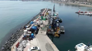 Marmara'da msilaj erken paydos ettirdi