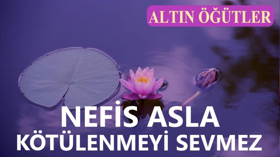 Nefis asla ktlenmeyi sevmez