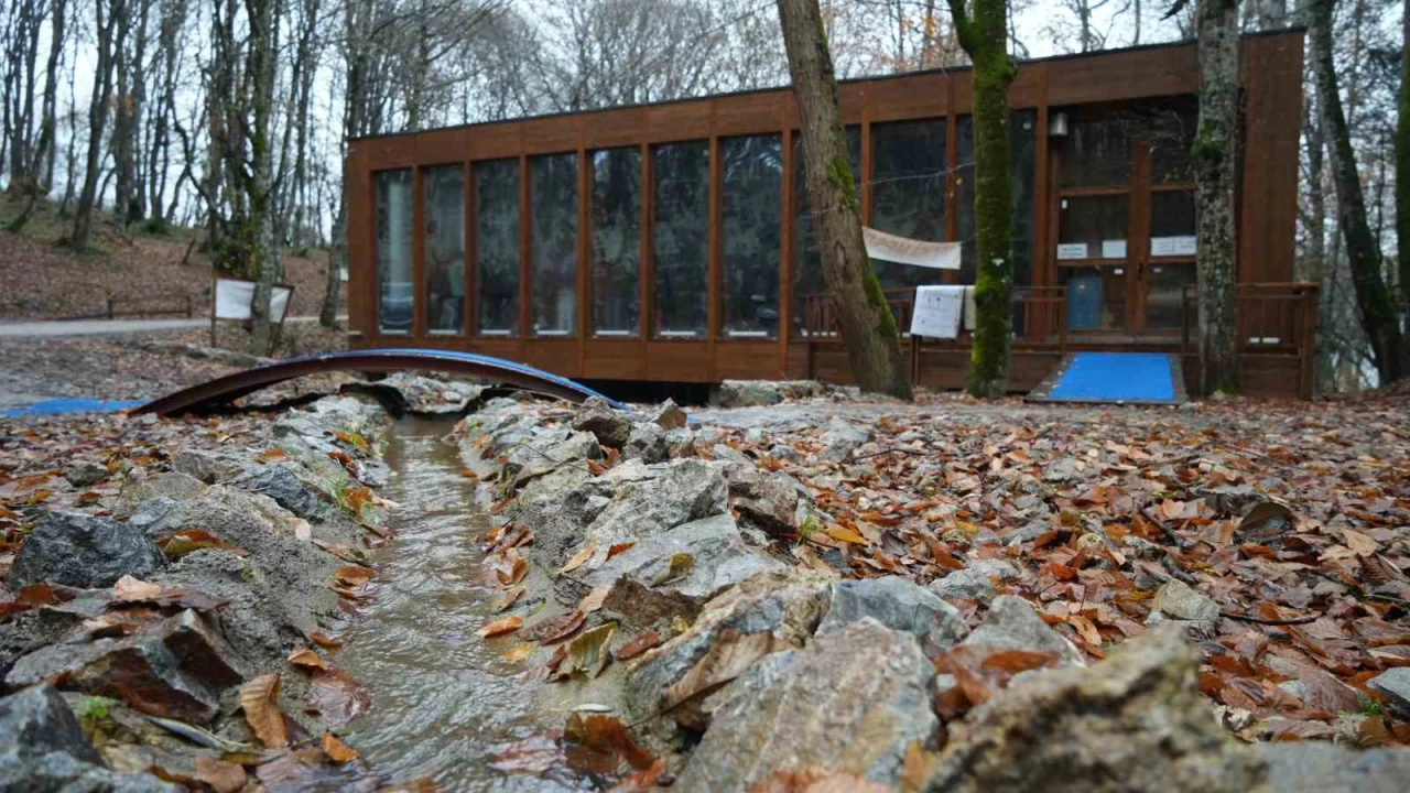 Ormanın içindeki türbenin hikayesi: Buraya gelen aç kalmıyor