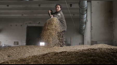 Savaş Ukrayna'da tarıma da darbe vurdu
