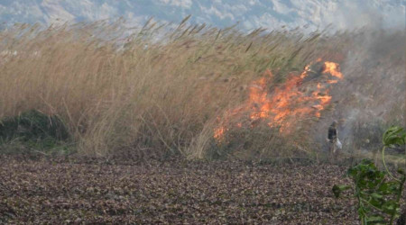 Sazlık alanda yangın çıkartan şahıs yakalandı