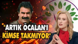 Süreci ellerine yüzlerine bulaştırdılar. Artık Öcalan'ı kimse takmıyor. İpek Özkal Sayan sert konuştu