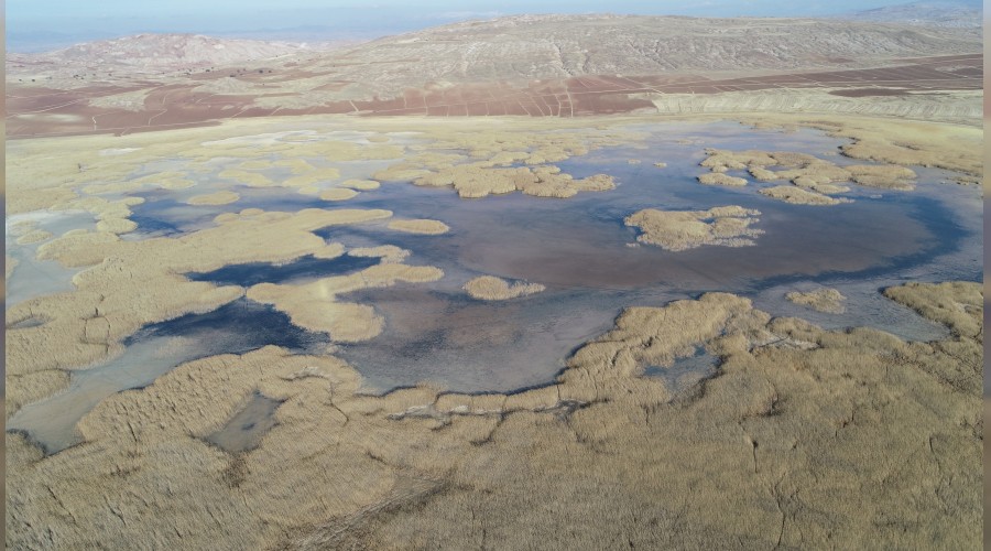 Tamamen kurumadan kurtulacak