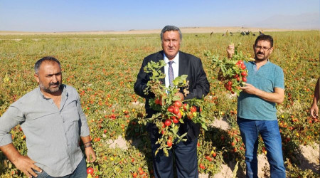 Tarladaki üreticinin sesi duyulmalı