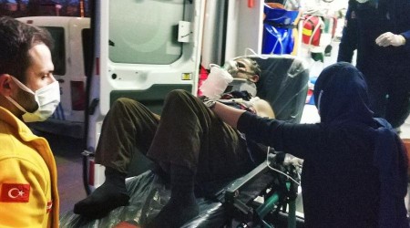 Üzerine kestiği ağaç düşen şahıs hastanelik oldu