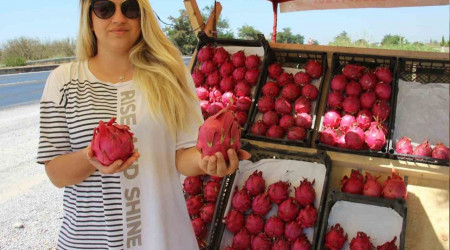 Yediği meyve hayatını değiştirdi, kendi işinin patronu oldu