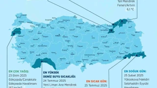 2025'te en sıcak Şırnak, en soğuk Hakkari oldu
