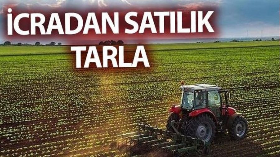 Ankara Akyurt'ta satılık tarla