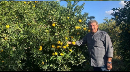 Bahçede 5, markette 25 lira