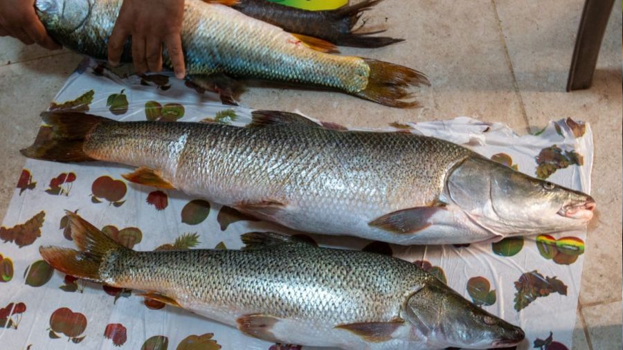 Balıkçılar birincilik için olta salladı