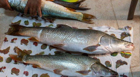 Balıkçılar birincilik için olta salladı