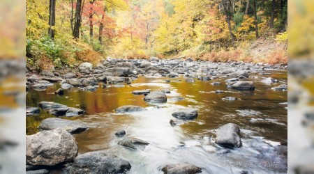 ‘Beni yitirmeden önce benden sorun’
